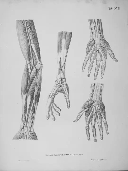 Cultural Heritage Acquisition and Digitisation Application Profile (CHAD-AP)