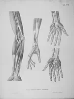 Cultural Heritage Acquisition and Digitisation Application Profile (CHAD-AP)